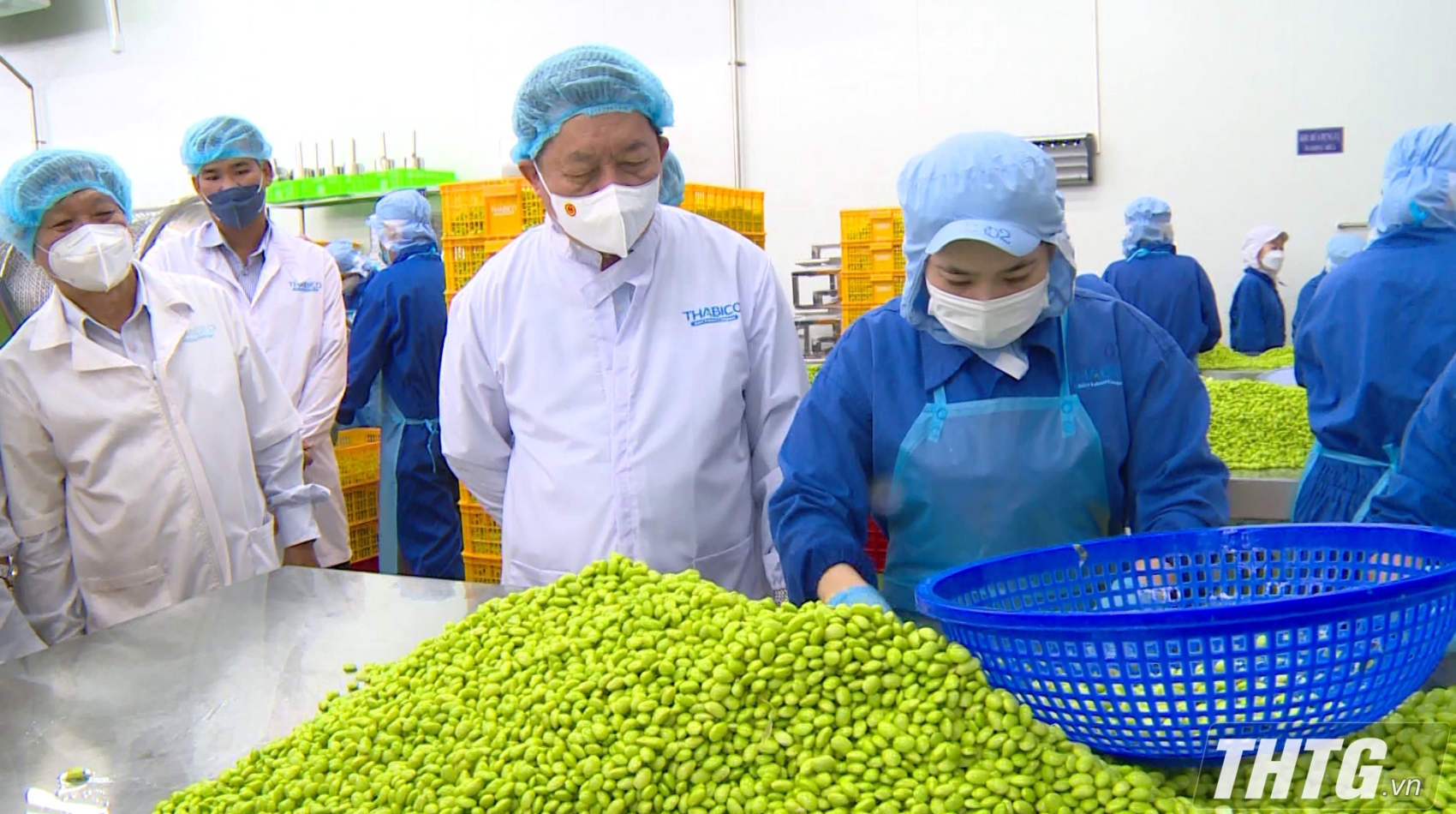 Trưởng Ban Tuyên giáo Trung ương thăm và làm việc tại nhà máy Thabico Tiền Giang